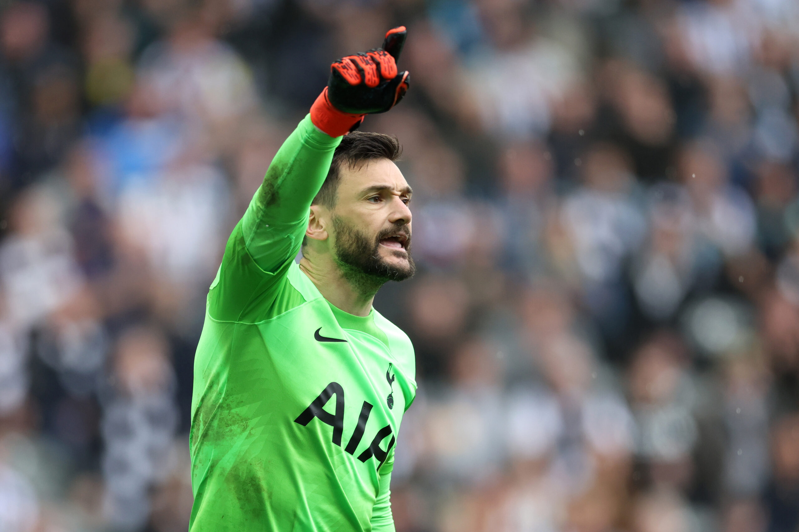 Hugo Lloris